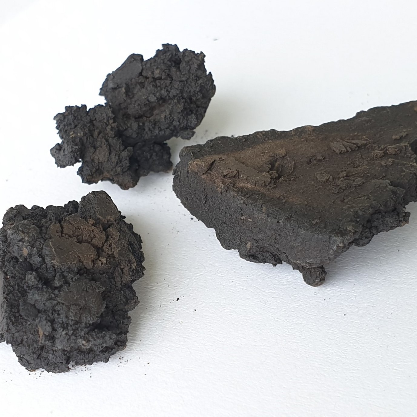 Coal from biomass using hydrothermal carbonization (HTC)