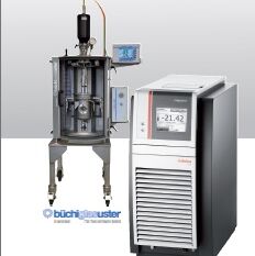 Pressure reactor with temperature control system